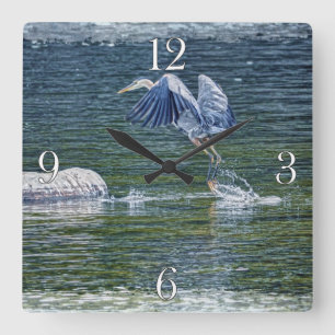 Reloj Cuadrado Fotos de aves silvestres de la Gran Perla Azul Sal