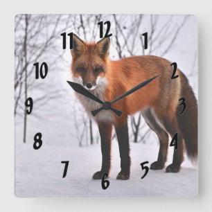 Reloj Cuadrado Fox Roja En Invierno