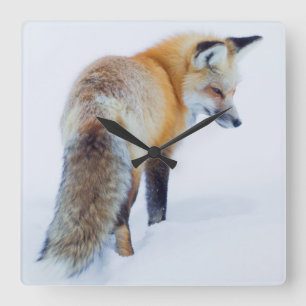 Reloj Cuadrado Fox rojo en invierno