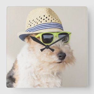 Reloj Cuadrado Fox terrier