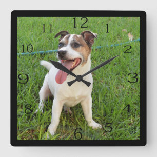Reloj Cuadrado Fox Terrier, Tongue En La Queja,