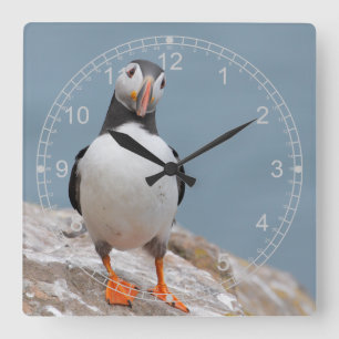 Reloj Cuadrado Frailecillo derecho