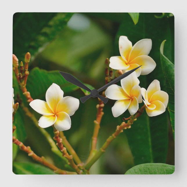 Reloj Cuadrado Frangipani amarillo (Anverso)