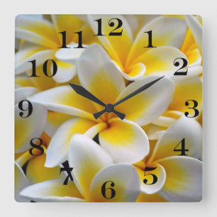 Reloj Cuadrado Frangipani Plumeria Flower Photo
