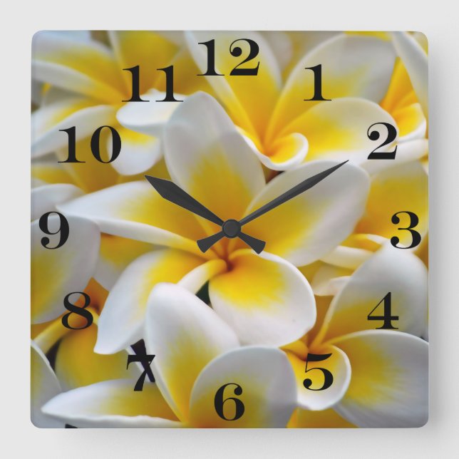 Reloj Cuadrado Frangipani Plumeria Flower Photo (Anverso)