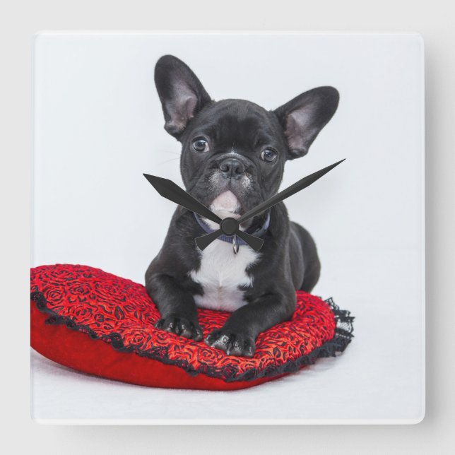 Reloj Cuadrado French bulldog clock (Anverso)