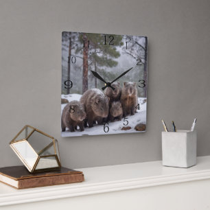 Reloj Cuadrado Frozen Burrow: Familia Wombat australiana,