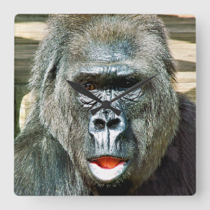 RELOJ CUADRADO FUNNY CUTE GORILLA