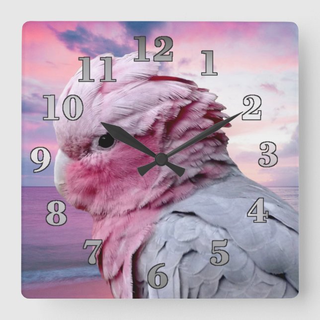 Reloj Cuadrado Galah Cockatoo (Anverso)
