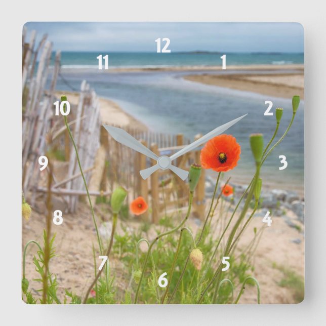 Reloj Cuadrado Gales Anglesey Vista Escenaria Playa Y Poppies Sal (Anverso)