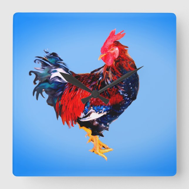 Reloj Cuadrado gallináceo macho ,rooster (Anverso)