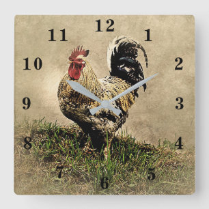 Reloj Cuadrado Gallo