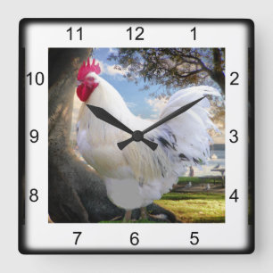 Reloj Cuadrado Gallo del día de fiesta