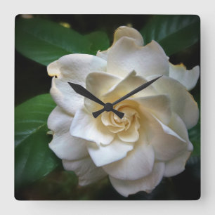 Reloj Cuadrado Gardenia blanco