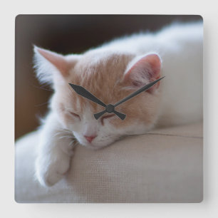 Reloj Cuadrado Gatito beige y blanco cansado