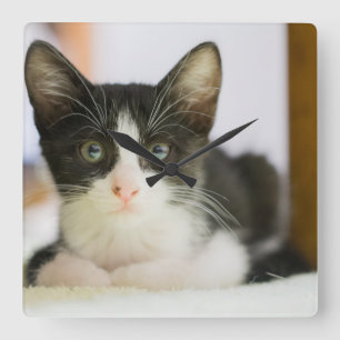 Reloj Cuadrado Gatito Blanco Y Negro Dulce