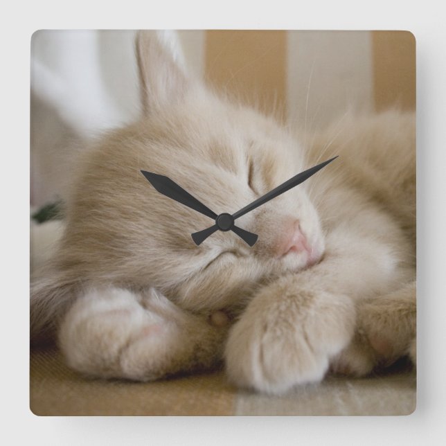 Reloj Cuadrado Gatito durmiente (Anverso)