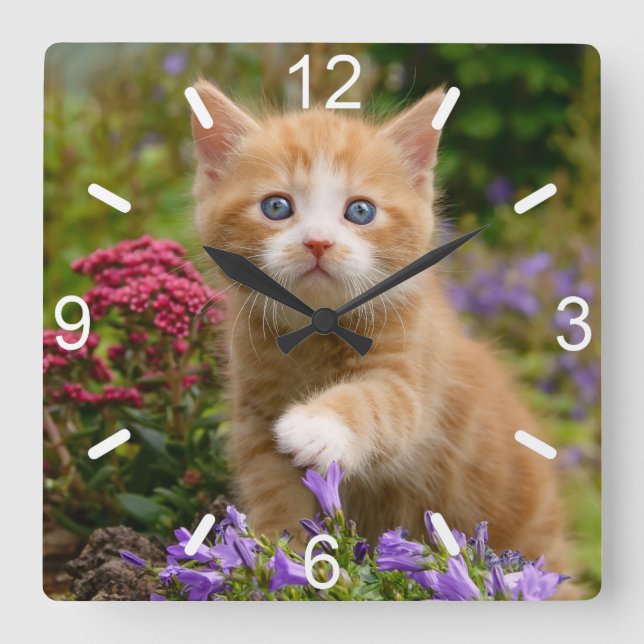 Reloj Cuadrado Gatito Ginger Gatito Gatito Gatito en placa de mar (Anverso)