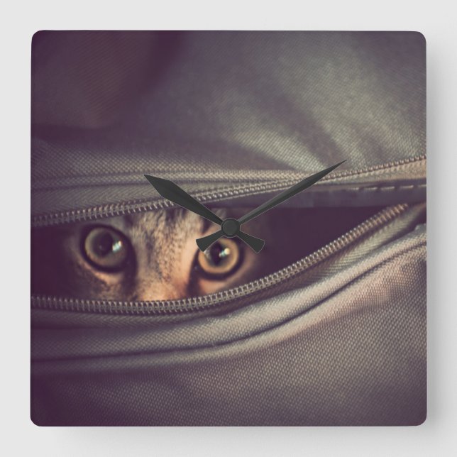 Reloj Cuadrado Gatito joven del Tabby (Anverso)