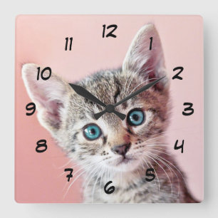 Reloj Cuadrado Gatito lindo con los ojos azules