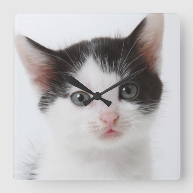 Reloj Cuadrado Gatito manchado negro (Anverso)