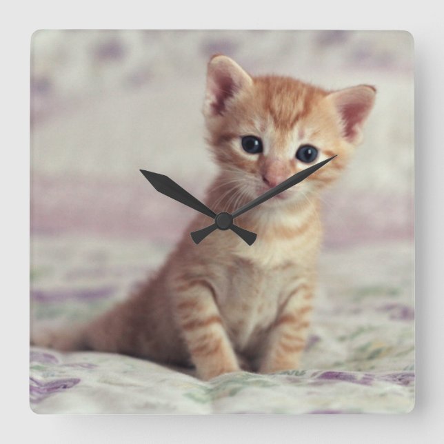 Reloj Cuadrado Gatito minúsculo del jengibre (Anverso)