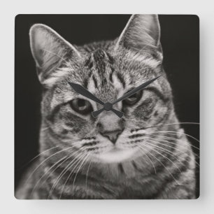 Reloj Cuadrado Gatito negro de Tabby