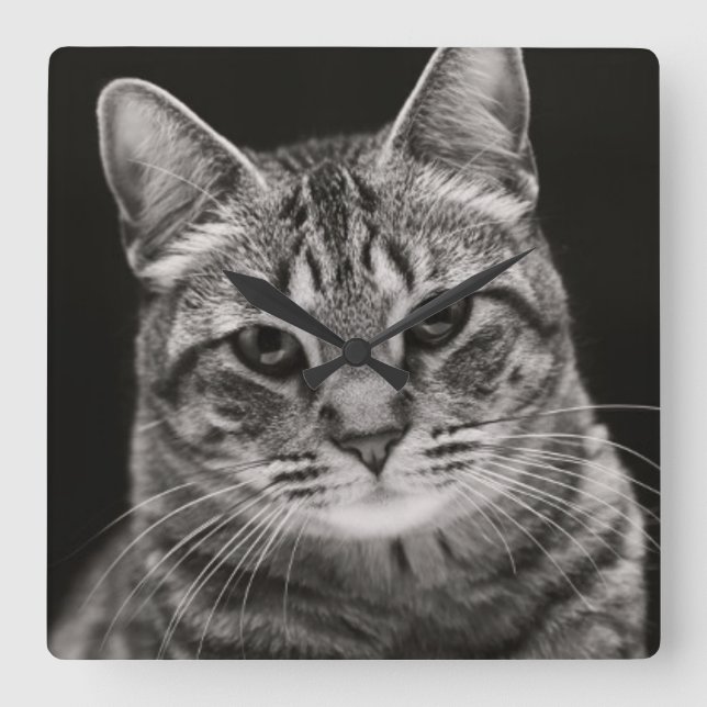Reloj Cuadrado Gatito negro de Tabby (Anverso)