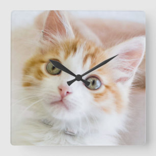 Reloj Cuadrado Gatito observado azul dulce