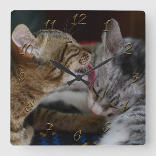Reloj Cuadrado Gatitos cortos