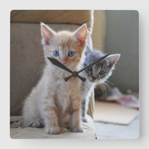 Reloj Cuadrado Gatitos curiosos