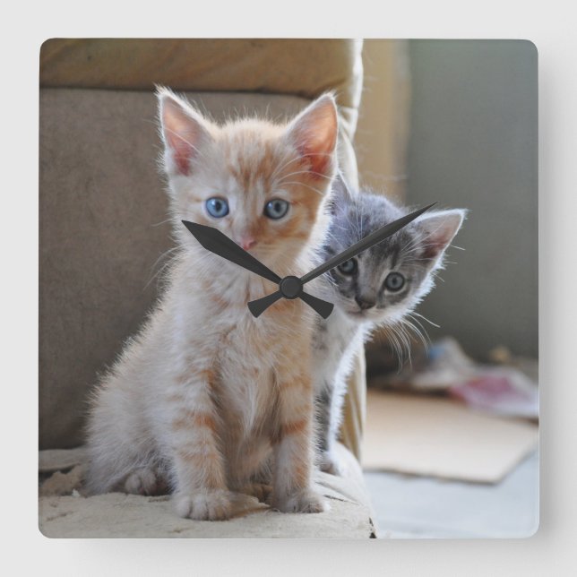 Reloj Cuadrado Gatitos curiosos (Anverso)