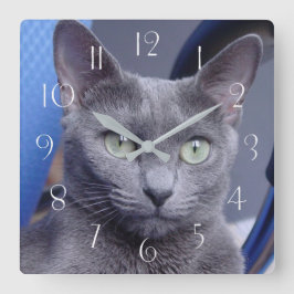 Reloj Cuadrado Gato  azul ruso