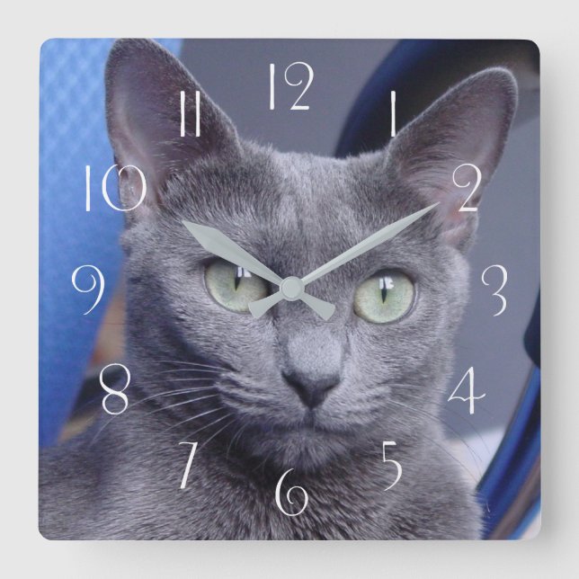 Reloj Cuadrado Gato ‎ azul ruso (Anverso)