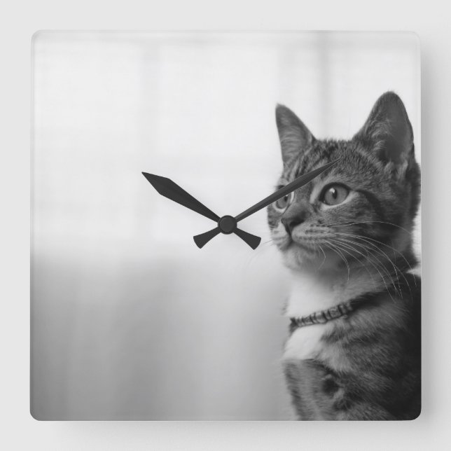 Reloj Cuadrado Gato de corte (Anverso)