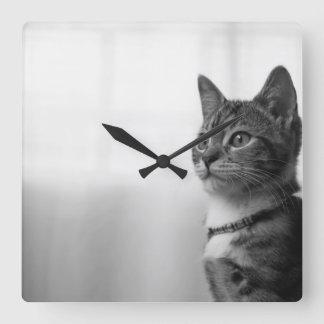 Reloj Cuadrado Gato de corte
