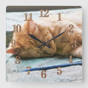 Reloj Cuadrado Gato de jengibre longevo dormido