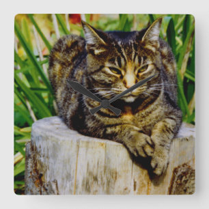 Reloj Cuadrado Gato de la actitud
