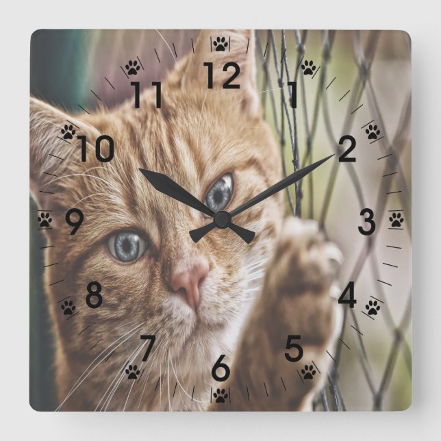 Reloj Cuadrado Gato En Una Alambrada (Anverso)