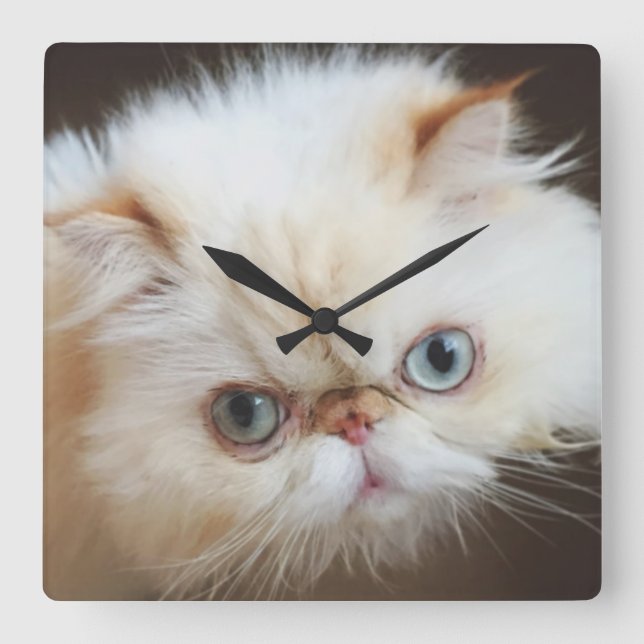 Reloj Cuadrado Gato en una caja (Anverso)