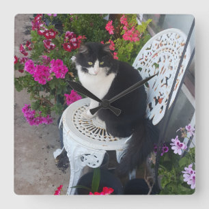 Reloj Cuadrado Gato esmoquin granate rosa oscuro Gatos y flores
