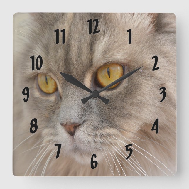 Reloj Cuadrado Gato persa de ojos dorados (Anverso)
