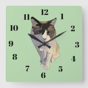 Reloj Cuadrado Gato ragdoll, verde pastel, vidrio emplomado