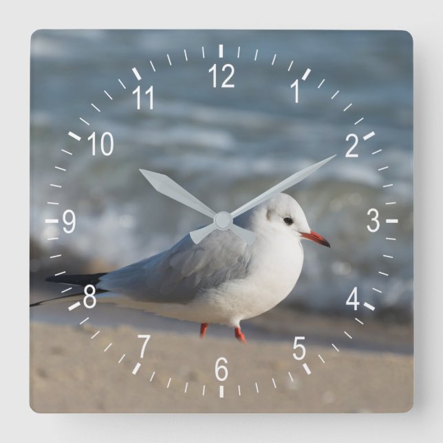 Reloj Cuadrado Gaviota (Anverso)