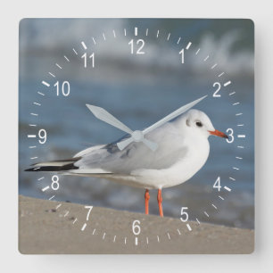 Reloj Cuadrado Gaviota