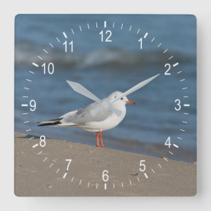 Reloj Cuadrado Gaviota