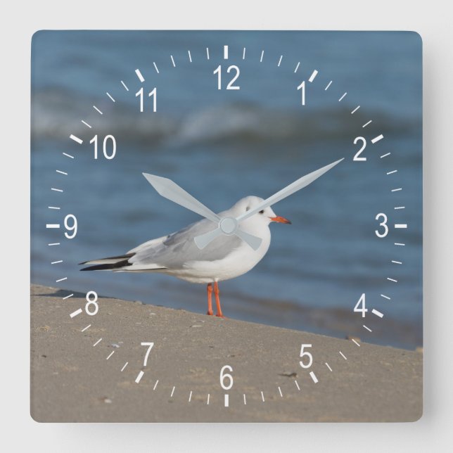 Reloj Cuadrado Gaviota (Anverso)