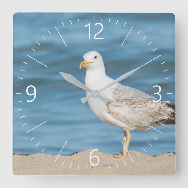 Reloj Cuadrado Gaviota caminando por la playa (Anverso)
