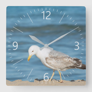 Reloj Cuadrado Gaviota caminando por la playa