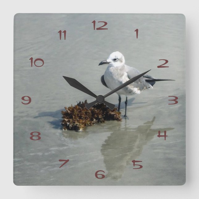 Reloj Cuadrado Gaviota con algas marinas (Anverso)